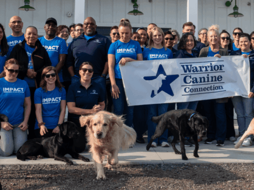 Team A-G Volunteers with Warrior Canine Connection 